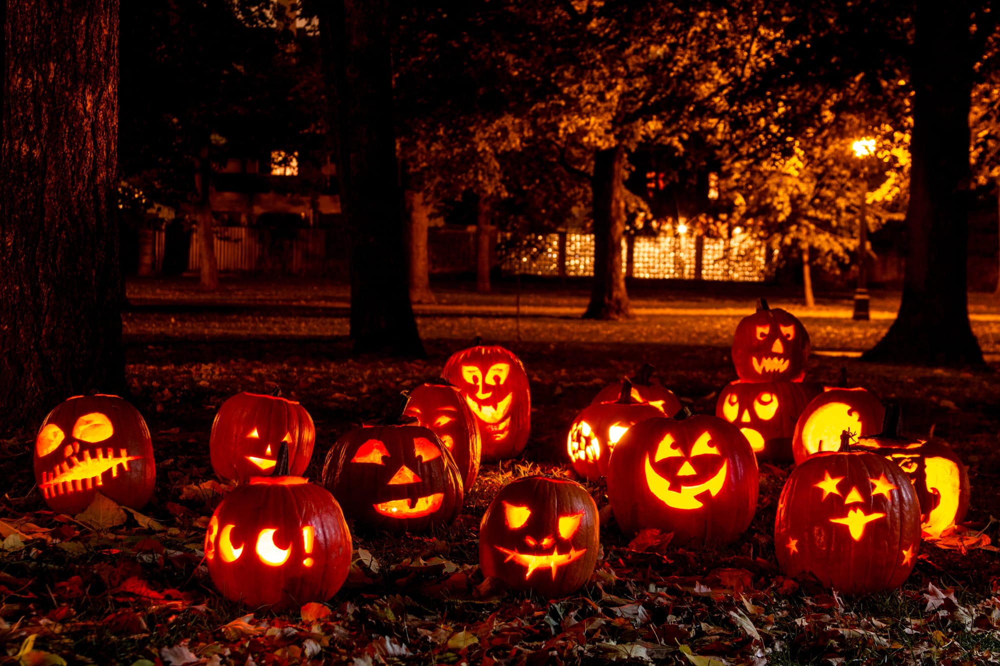 60+6 tolle HalloweenSprüche für Groß und Klein »