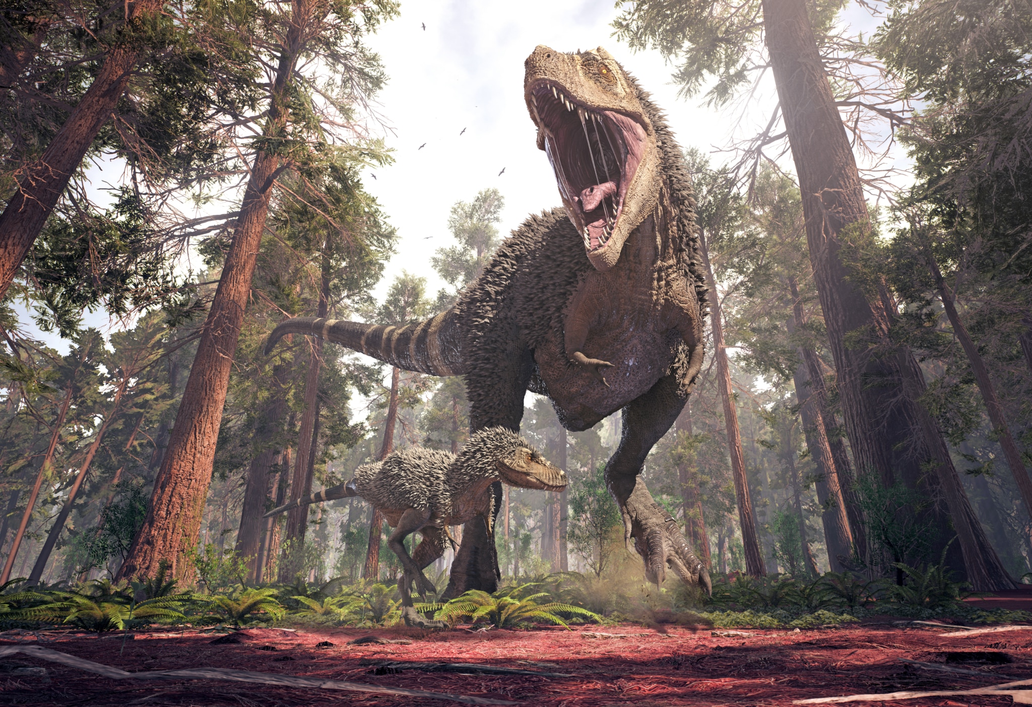 Tyrannosaurus Rex Steckbrief + 8 Merkmale des Dinosauriers
