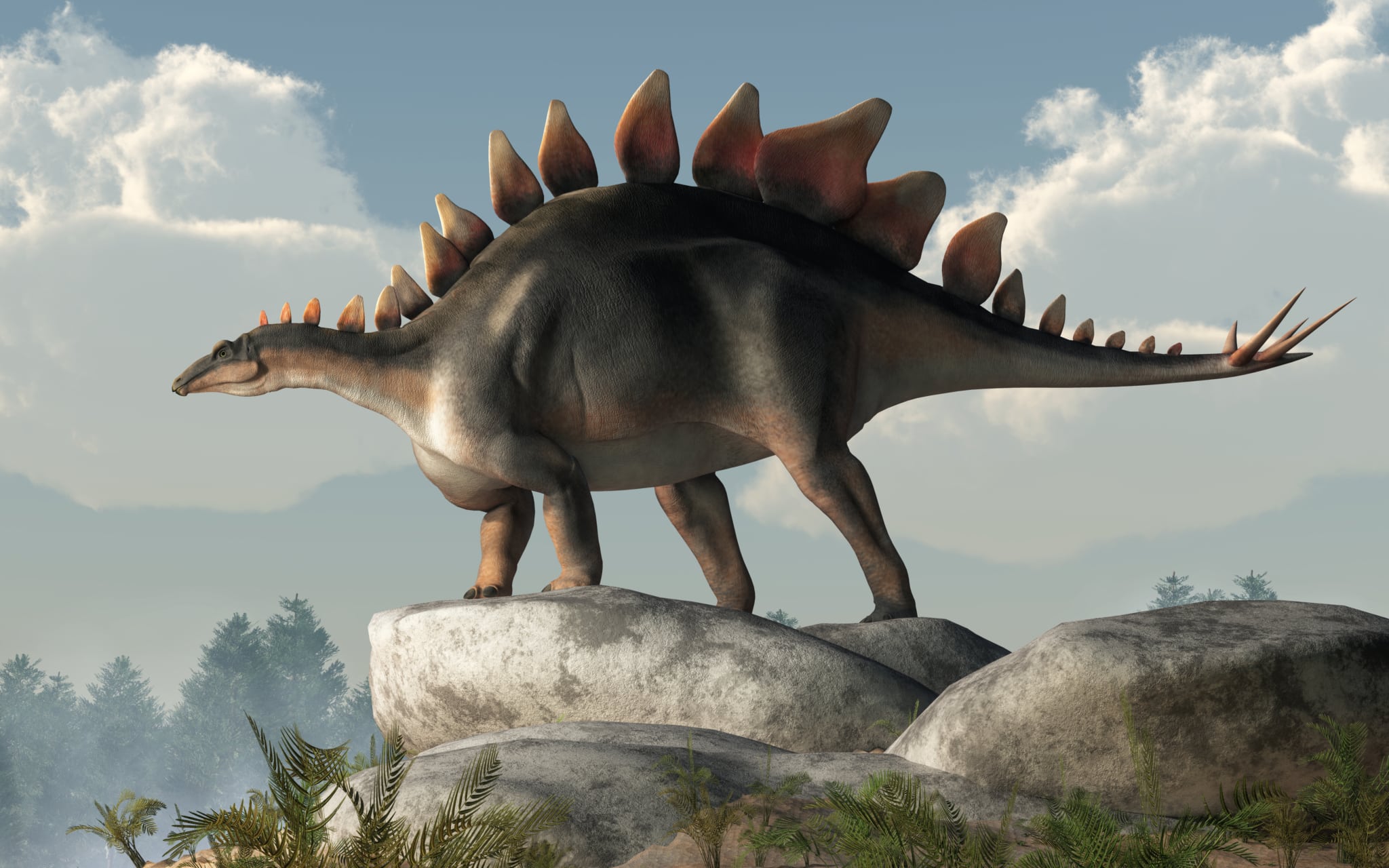 Stegosaurus: Steckbrief + 7 Merkmale des Dinosauriers Â» schreiben.net