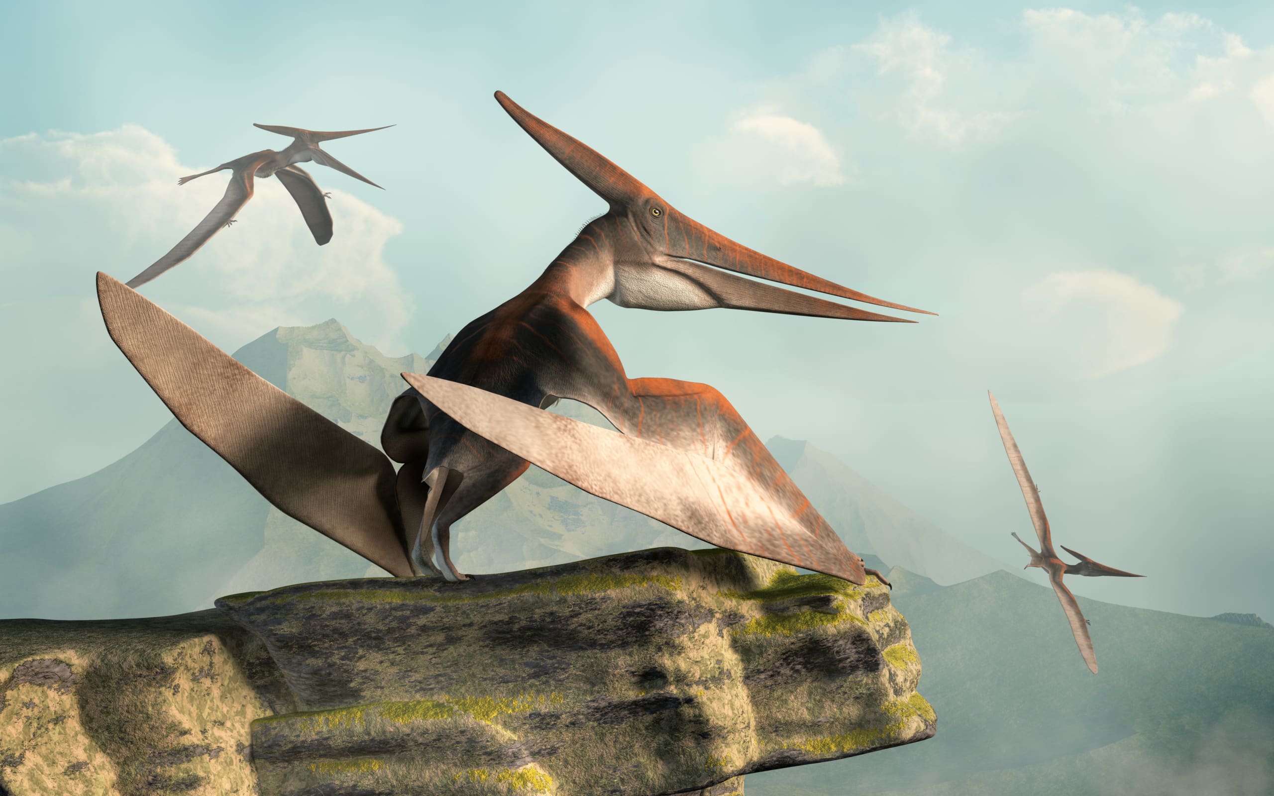 Pteranodon: Steckbrief & 7 Merkmale des Flugsauriers » schreiben.net
