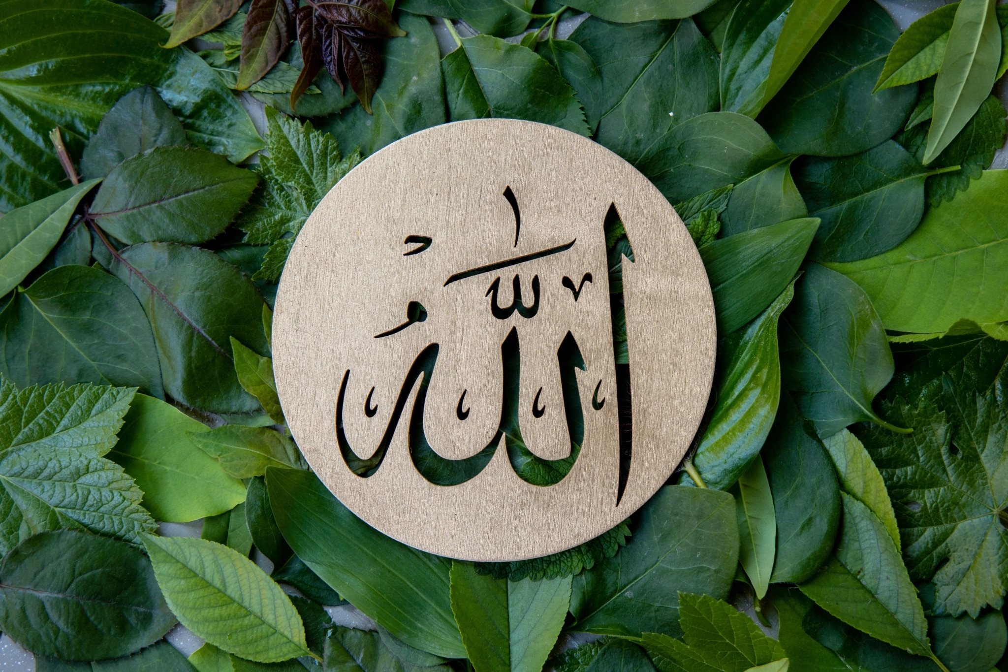 45 Sprüche & 21 Zitate aus dem Islam »